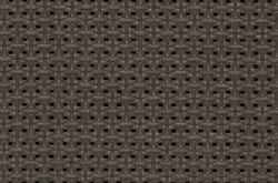 Screen Nature   1134 Bronce (fin 31.12.2024)