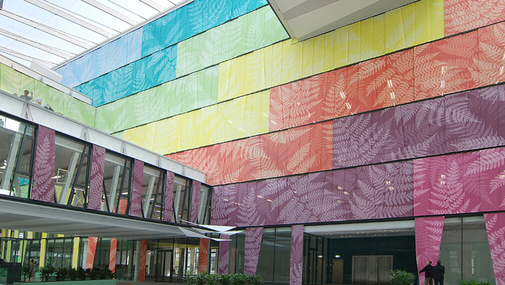 PROYECTO: AMAZON COURT