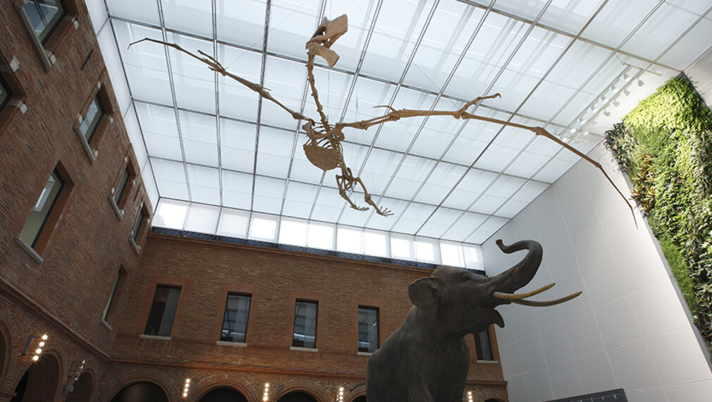 PROYECTO: MUSEO DE TOULOUSE